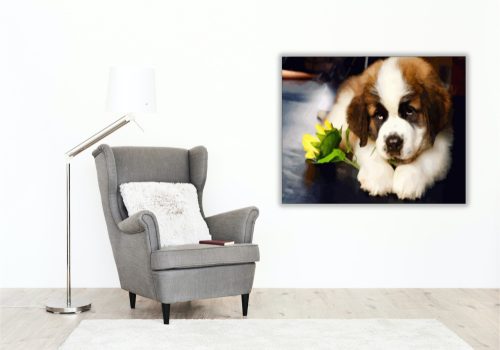 Bernáthegyi virággal - számfestő készlet - Számfestő.hu - 80×100cm - keret nélkül