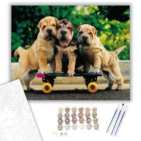 Kiskutyák gördeszkán - számfestő készlet - Számfestő.hu - 40×50cm - keret nélkül