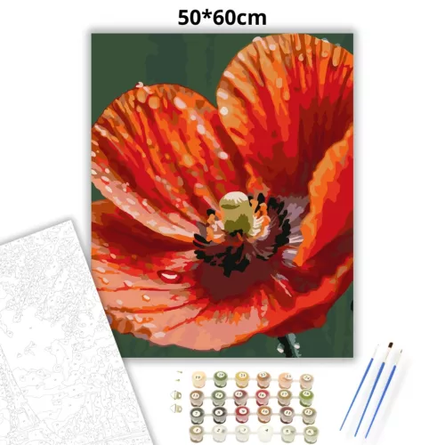 Harmatcseppes Pipacs Szirmok - számfestő készlet - Számfestő.hu - 50×60cm - Keretre feszítve