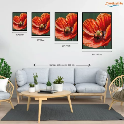 Harmatcseppes Pipacs Szirmok - számfestő készlet - Számfestő.hu - 50×60cm - Keretre feszítve