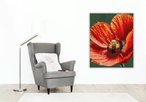 Harmatcseppes Pipacs Szirmok - számfestő készlet - Számfestő.hu - 80×100cm - Keretre feszítve