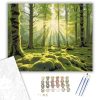 Napkelte az Erdő Mélyén - számfestő készlet - Számfestő.hu - 40×50cm - keretre feszítve