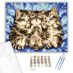 Alvó kiscicák - számfestő készlet - Számfestő.hu - 40×50cm - keret nélkül