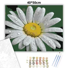 Harmatcseppes Fehér Margaréta - számfestő készlet - Számfestő.hu - 40×50cm - Keret nélkül