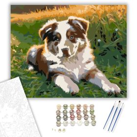 Ausztrál Juhászkutya Kölyök a Napsütésben - számfestő készlet - Számfestő.hu - 40×50cm - keret nélkül