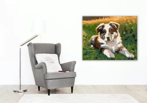 Ausztrál Juhászkutya Kölyök a Napsütésben - számfestő készlet - Számfestő.hu - 40×50cm - keret nélkül