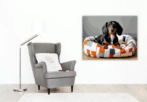 Tacskó a Modern Mintás Ágyon - számfestő készlet - Számfestő.hu - 60×70cm - keretre feszítve
