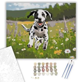 Vidám Dalmatakölyök a Vadvirágos Mezőn - számfestő készlet - Számfestő.hu - 40×50cm - keret nélkül