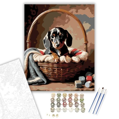 Tacskó Kiskutya a Kosárban - számfestő készlet - Számfestő.hu - 40×50cm - keret nélkül
