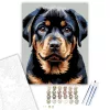 Rottweiler Kölyök Közeli Portré - számfestő készlet - Számfestő.hu - 60×70cm - keretre feszítve