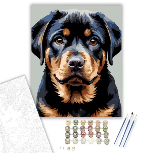 Rottweiler Kölyök Közeli Portré - számfestő készlet - Számfestő.hu - 60×70cm - keretre feszítve