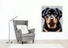 Rottweiler Kölyök Közeli Portré - számfestő készlet - Számfestő.hu - 40×50cm - keret nélkül