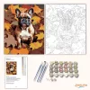 Francia Bulldog Őszi Levelek Között - számfestő készlet - Számfestő.hu - 80×100cm - Keretre feszítve