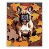 Francia Bulldog Őszi Levelek Között - számfestő készlet - Számfestő.hu - 40×50cm - Keret nélkül
