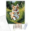Corgi Fut a Mezőn - számfestő készlet - Számfestő.hu - 60×70cm - keret nélkül