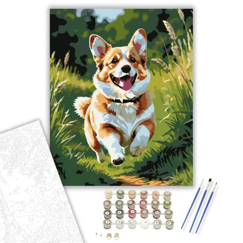 Corgi Fut a Mezőn - számfestő készlet - Számfestő.hu - 50×60cm - keret nélkül