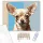 Chihuahua Portré - számfestő készlet - Számfestő.hu - 50×60cm - keret nélkül
