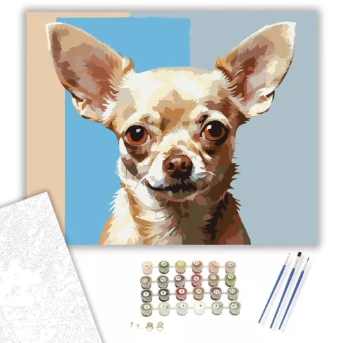 Chihuahua Portré - számfestő készlet - Számfestő.hu - 40×50cm - keretre feszítve