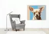 Chihuahua Portré - számfestő készlet - Számfestő.hu - 40×50cm - keretre feszítve