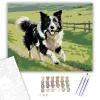 Border Collie a Zöld Legelőn - számfestő készlet - Számfestő.hu - 40×50cm - keret nélkül