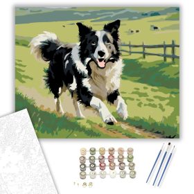 Border Collie a Zöld Legelőn - számfestő készlet - Számfestő.hu - 40×50cm - keret nélkül