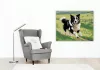 Border Collie a Zöld Legelőn - számfestő készlet - Számfestő.hu - 50×60cm - keretre feszítve