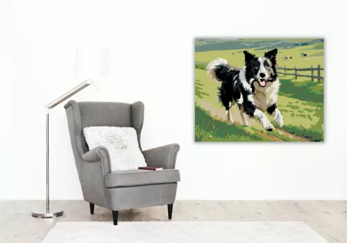 Border Collie a Zöld Legelőn - számfestő készlet - Számfestő.hu - 80×100cm - keret nélkül