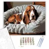 Alvó Basset Hound Kényelmes Ágyon - számfestő készlet - Számfestő.hu - 80×100cm - keretre feszítve