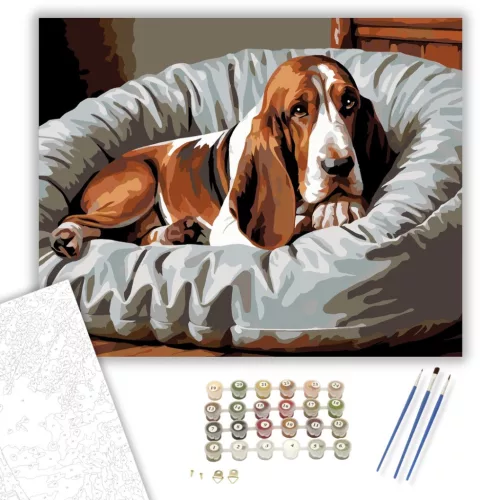 Alvó Basset Hound Kényelmes Ágyon - számfestő készlet - Számfestő.hu - 80×100cm - keretre feszítve