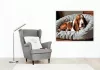 Alvó Basset Hound Kényelmes Ágyon - számfestő készlet - Számfestő.hu - 60×70cm - keret nélkül