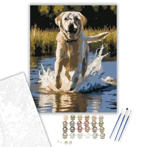 Labrador Retriever a Tóban - számfestő készlet - Számfestő.hu - 50×60cm - keret nélkül