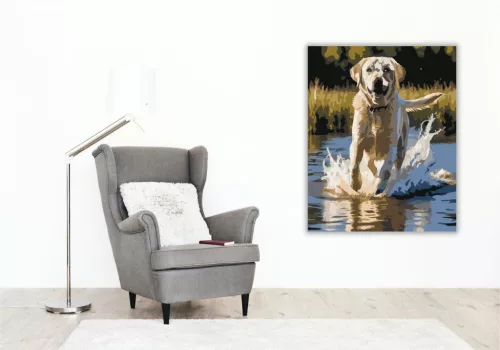 Labrador Retriever a Tóban - számfestő készlet - Számfestő.hu - 40×50cm - keretre feszítve