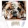 Bulldog Kölyök Pihenő Közeli Portré - számfestő készlet - Számfestő.hu - 50×60cm - keret nélkül