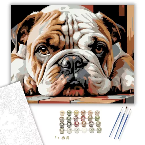 Bulldog Kölyök Pihenő Közeli Portré - számfestő készlet - Számfestő.hu - 50×60cm - keret nélkül
