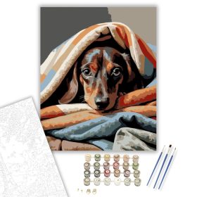 Kíváncsi Tacskó a Takarók Között - számfestő készlet - Számfestő.hu - 40×50cm - keret nélkül