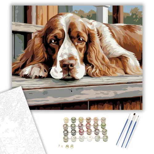 Cocker Spániel a Tornácon - számfestő készlet - Számfestő.hu - 60×70cm - keretre feszítve