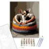 Chihuahua Kötött Pulóverben - számfestő készlet - Számfestő.hu - 60×70cm - keret nélkül