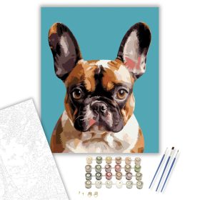 Francia Bulldog Közeli Portré - számfestő készlet - Számfestő.hu - 40×50cm - keret nélkül