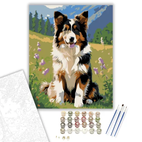 Collie Kiskutya a Vadvirágos Mezőn - számfestő készlet - Számfestő.hu - 60×70cm - keretre feszítve