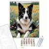Border Collie Vadvirágos Mezőn - számfestő készlet - Számfestő.hu - 40×50cm - keretre feszítve