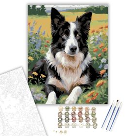 Border Collie Vadvirágos Mezőn - számfestő készlet - Számfestő.hu - 40×50cm - keret nélkül
