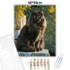 Fekete Maine Coon Kőfalon - számfestő készlet - Számfestő.hu - 40×50cm - Keret nélkül