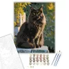 Fekete Maine Coon Kőfalon - számfestő készlet - Számfestő.hu - 60×70cm - keret nélkül