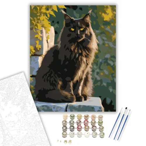 Fekete Maine Coon Kőfalon - számfestő készlet - Számfestő.hu - 80×100cm - keretre feszítve
