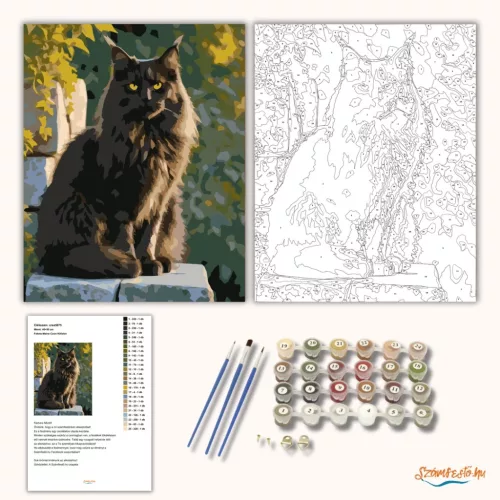 Fekete Maine Coon Kőfalon - számfestő készlet - Számfestő.hu - 40×50cm - Keret nélkül