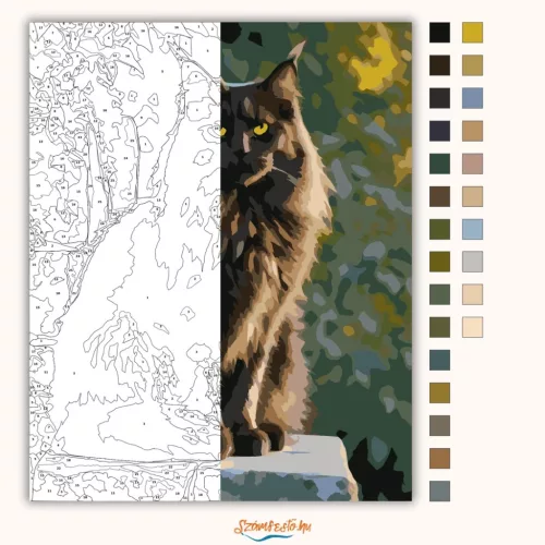 Fekete Maine Coon Kőfalon - számfestő készlet - Számfestő.hu - 40×50cm - Keret nélkül