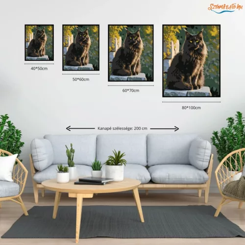 Fekete Maine Coon Kőfalon - számfestő készlet - Számfestő.hu - 40×50cm - Keretre feszítve