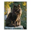 Fekete Maine Coon Kőfalon - számfestő készlet - Számfestő.hu - 40×50cm - Keret nélkül
