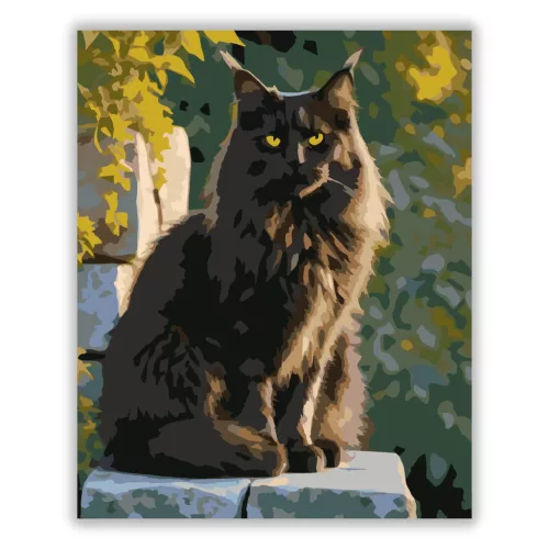 Fekete Maine Coon Kőfalon - számfestő készlet - Számfestő.hu - 40×50cm - Keretre feszítve