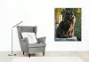 Fekete Maine Coon Kőfalon - számfestő készlet - Számfestő.hu - 40×50cm - Keret nélkül